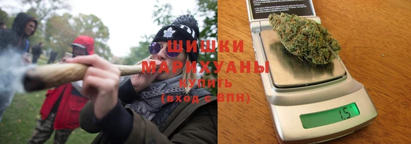 тгк Каменногорск