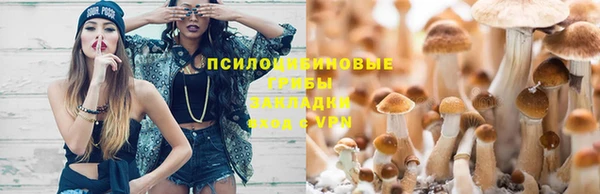 тгк Каменногорск