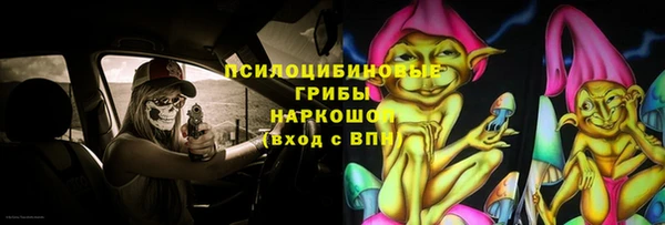 тгк Каменногорск