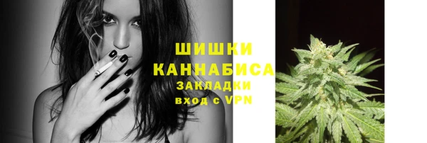 тгк Каменногорск