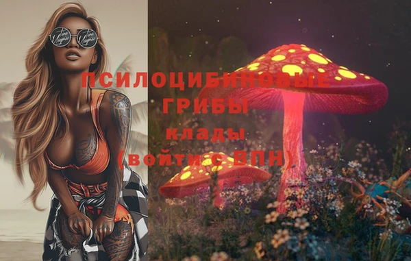 тгк Каменногорск
