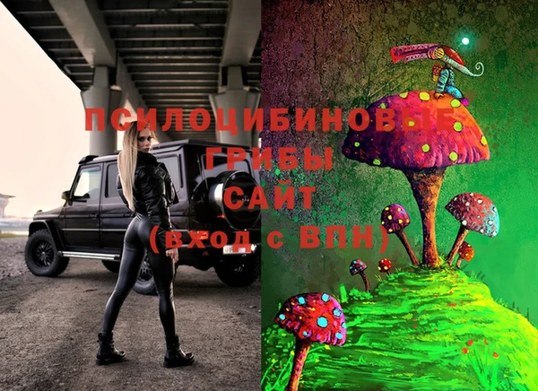 тгк Каменногорск