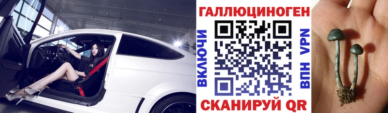 Купить закладки  Карачаевск  Псилоцибиновые грибы Magic Shrooms 