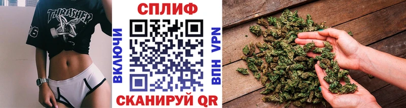 Купить где  Карачаевск  Марихуана Amnesia 
